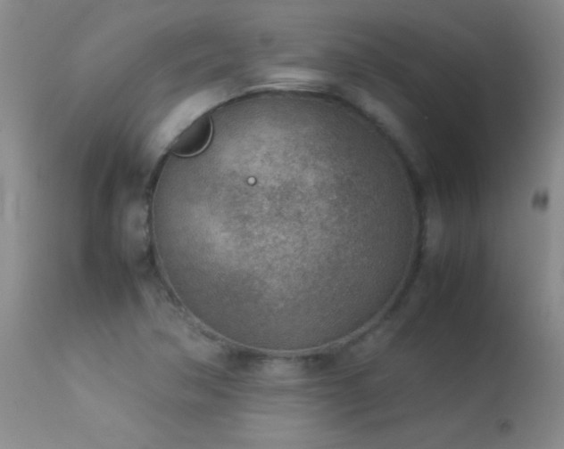 X0000114221362200910091338