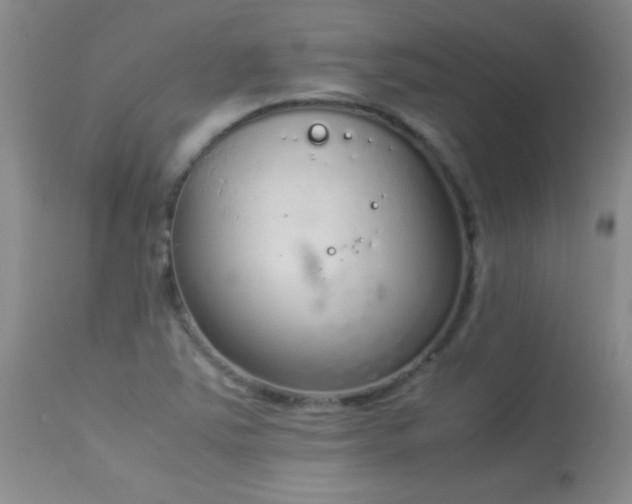 X0000114221363200910091338