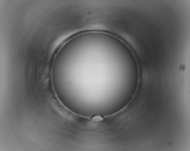 X0000114221364200910091338