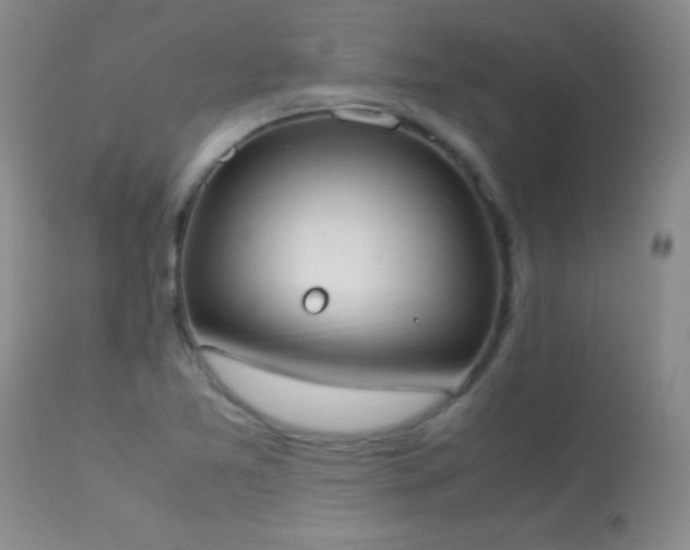 X0000114221365200910091338