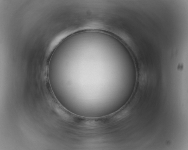 X0000114221366200910091338