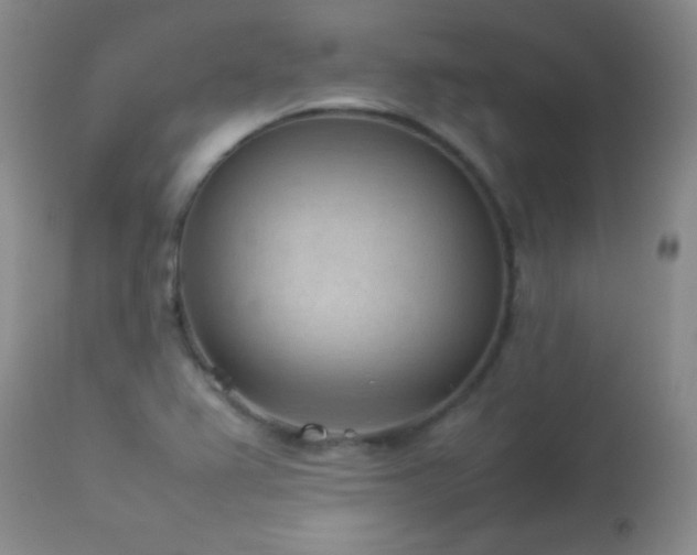 X0000114221367200910091338