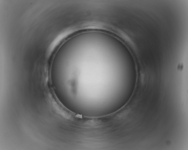 X0000114221368200910091338