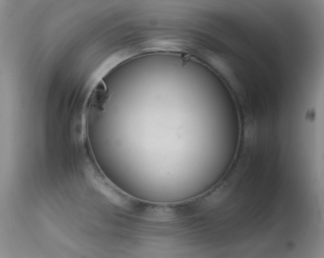X0000114221370200910091337