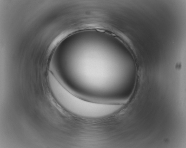 X0000114221373200910091337