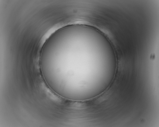 X0000114221374200910091337