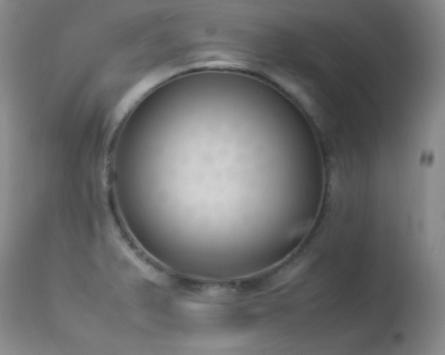 X0000114221375200910091337