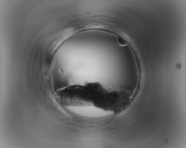 X0000114221377200910091337