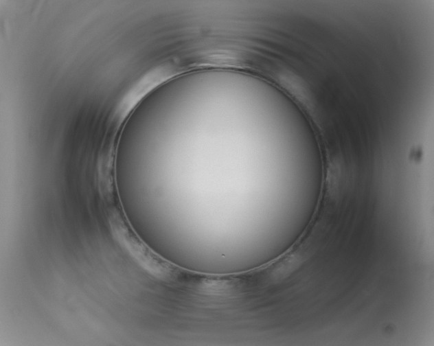 X0000114221378200910091337