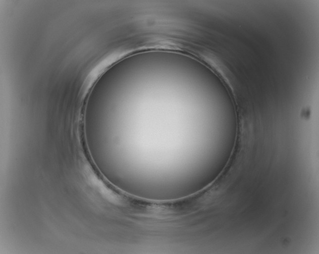 X0000114221379200910091337