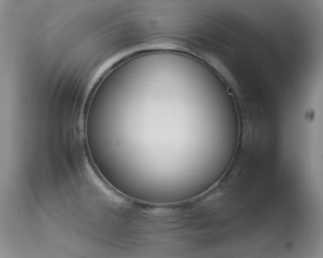 X0000114221380200910091337