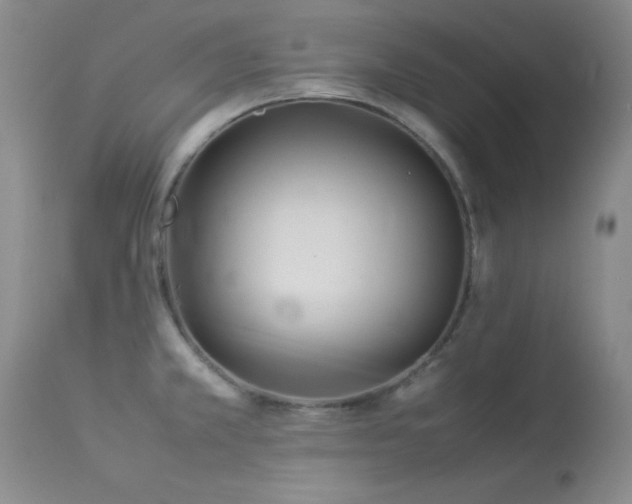 X0000114221381200910091337