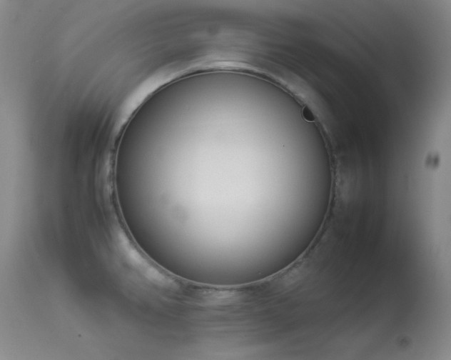 X0000114221382200910091337