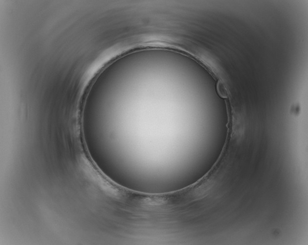 X0000114221384200910091337