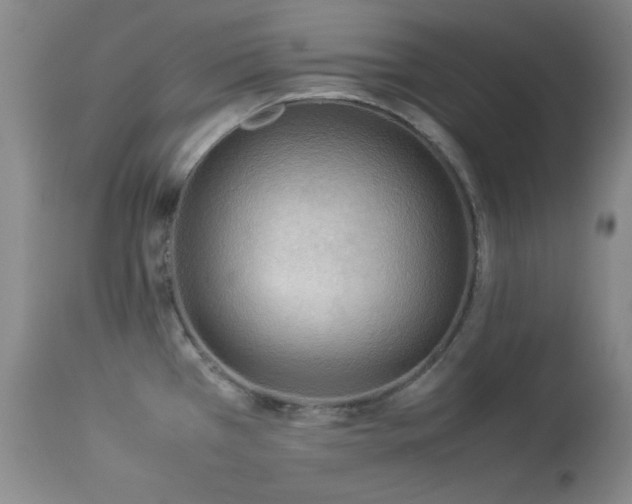 X0000114221385200910091337