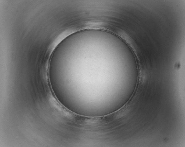 X0000114221386200910091337