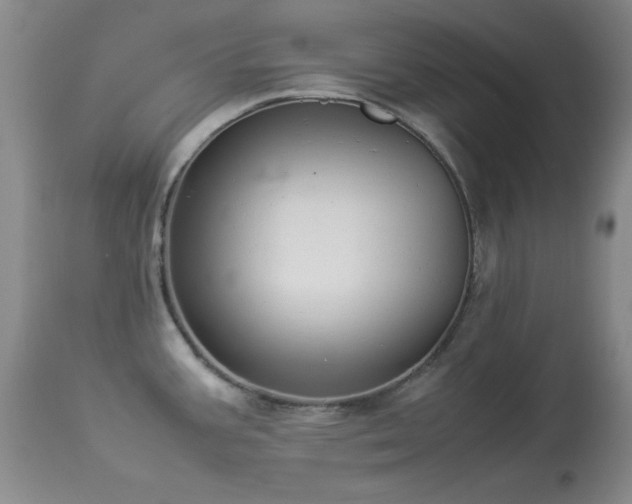 X0000114221387200910091337