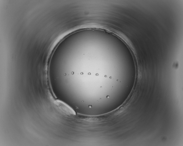X0000114221388200910091337