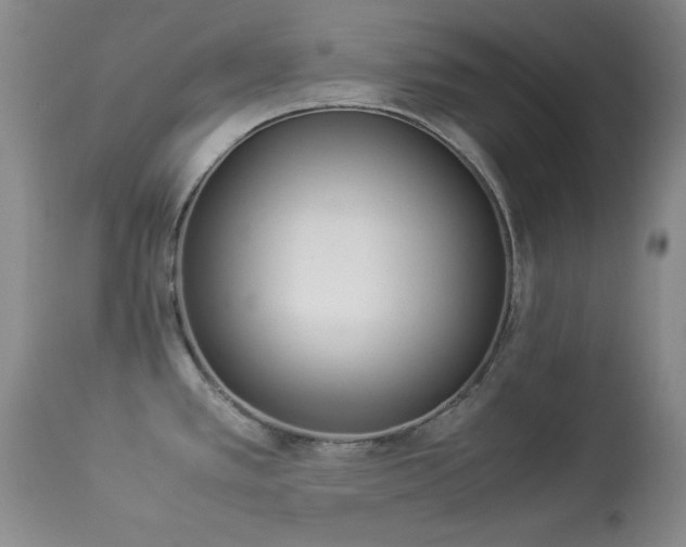 X0000114221389200910091337