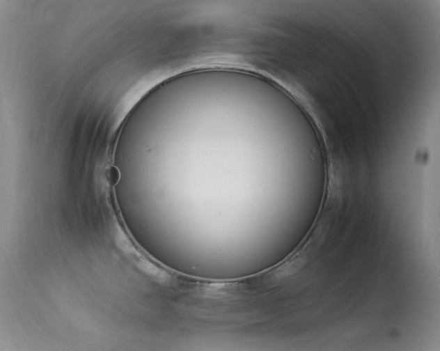 X0000114221390200910091337