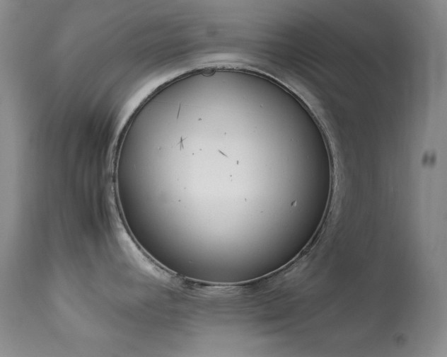 X0000114221392200910091337