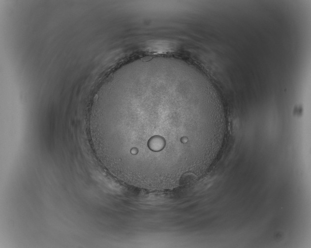 X0000114221393200910091336