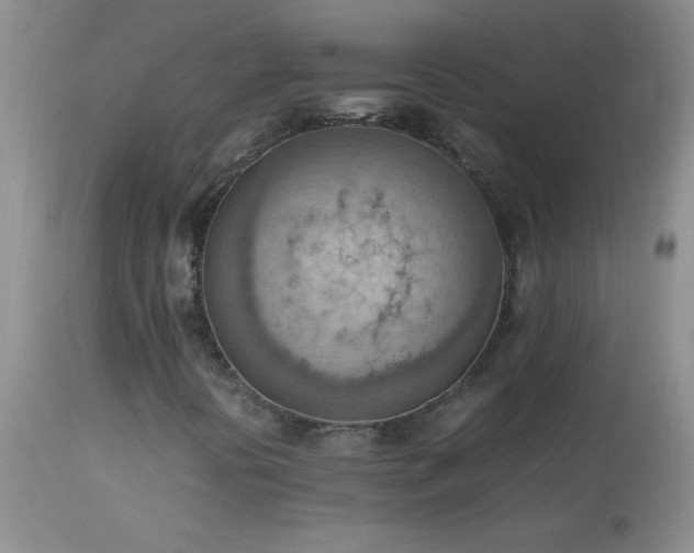 X0000114221394200910091336