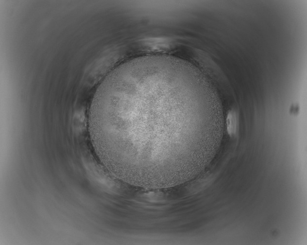 X0000114221395200910091336