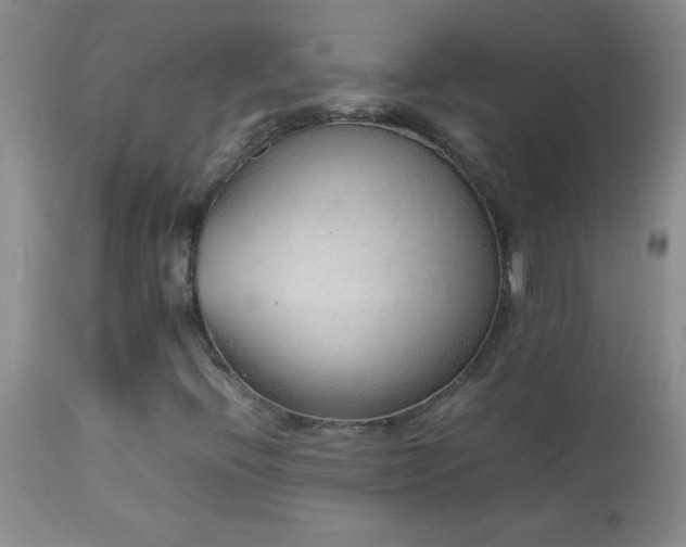 X0000114221396200910091336