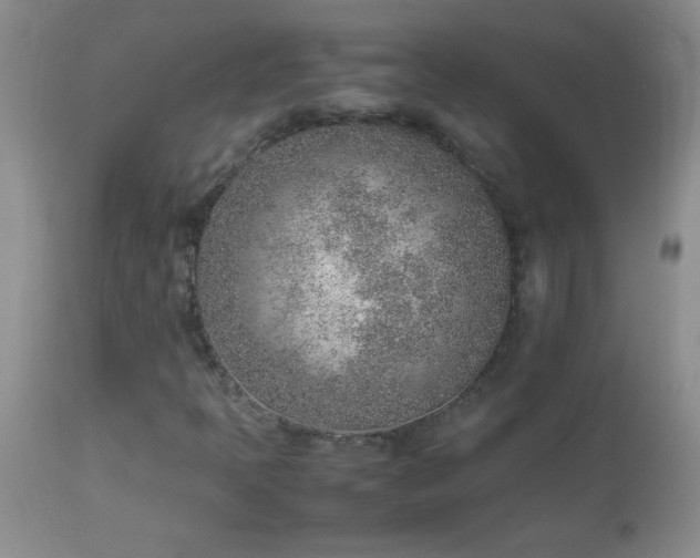 X0000114221397200910091336