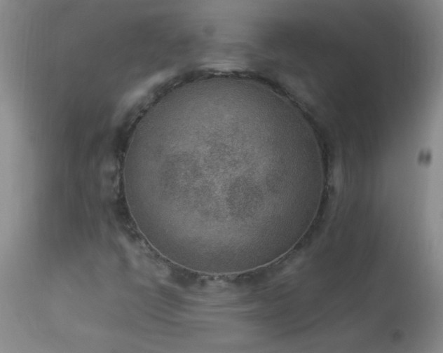 X0000114221398200910091336