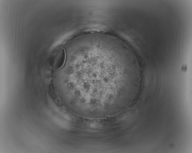 X0000114221399200910091336