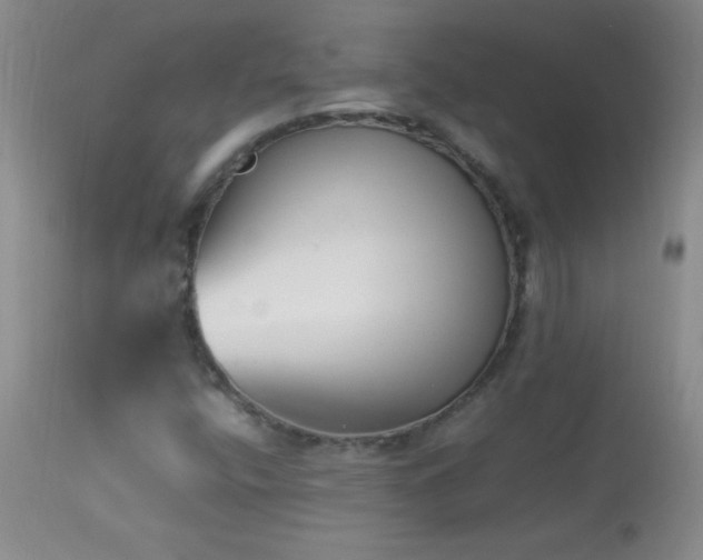 X0000114221400200910091336