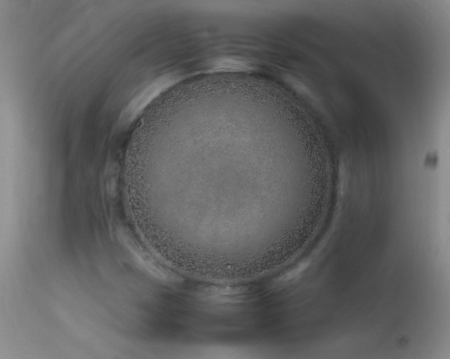 X0000114221401200910091337