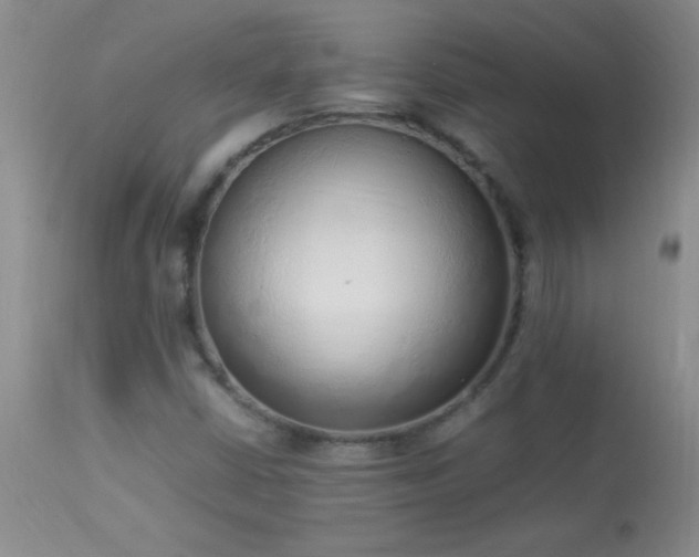 X0000114221402200910091337