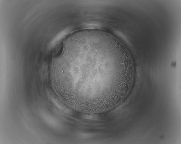 X0000114221403200910091337