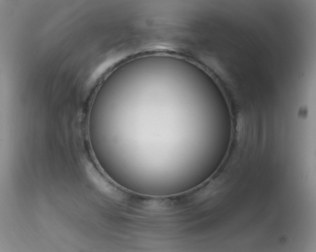 X0000114221404200910091337