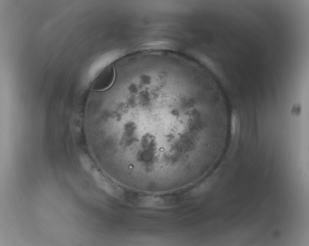 X0000114221405200910091337