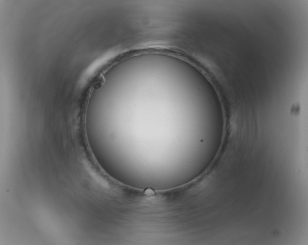 X0000114221406200910091337