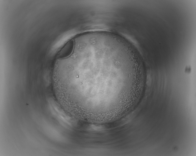 X0000114221407200910091337