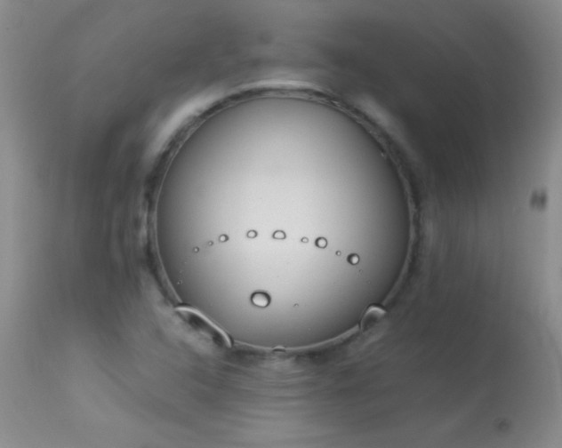 X0000114221408200910091337