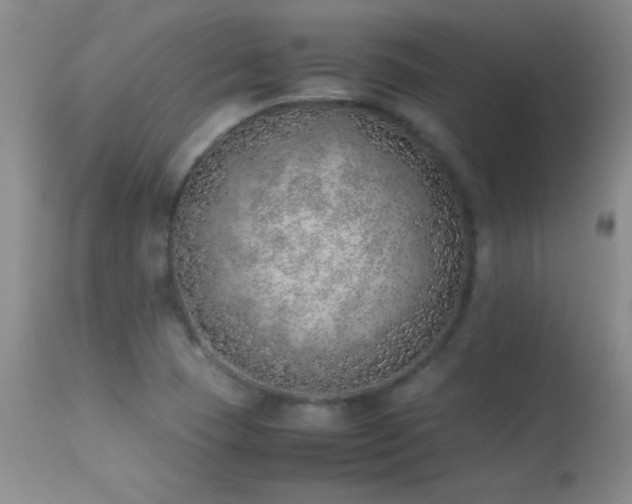 X0000114221409200910091337