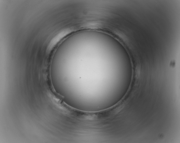 X0000114221410200910091337