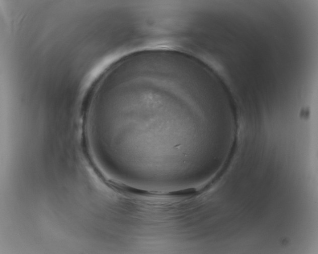 X0000114221414200910091337