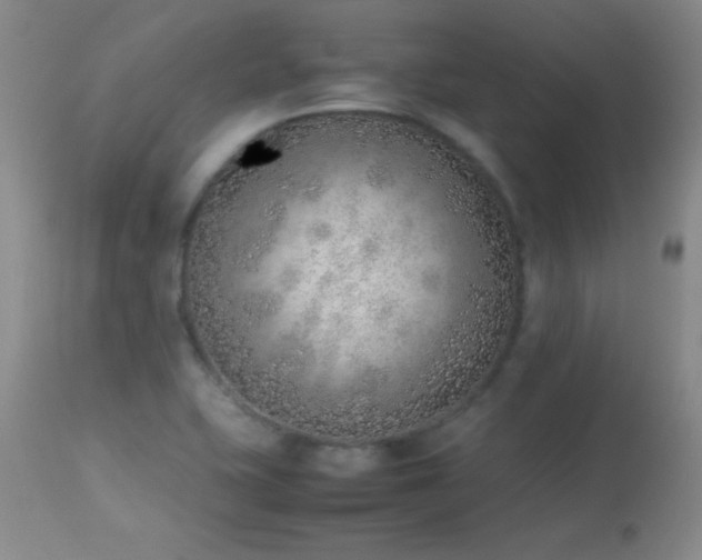 X0000114221415200910091337