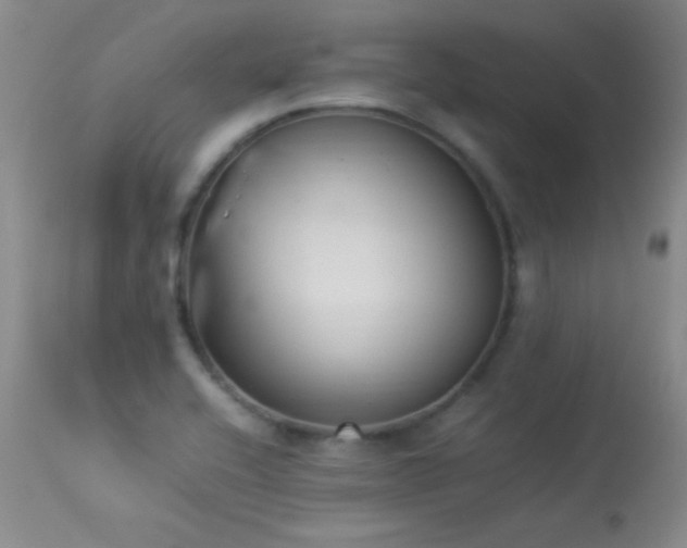 X0000114221416200910091337
