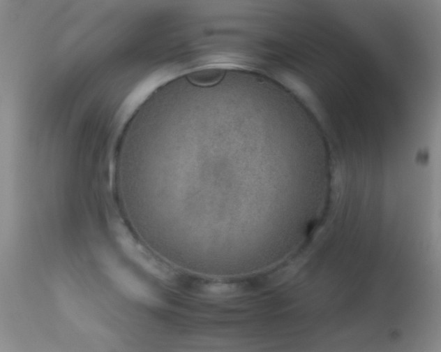 X0000114221419200910091337