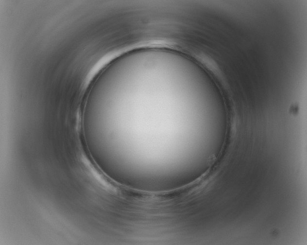X0000114221420200910091337