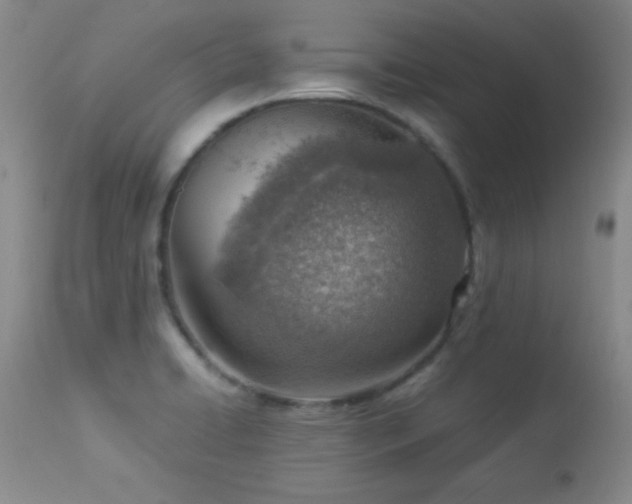 X0000114221422200910091337