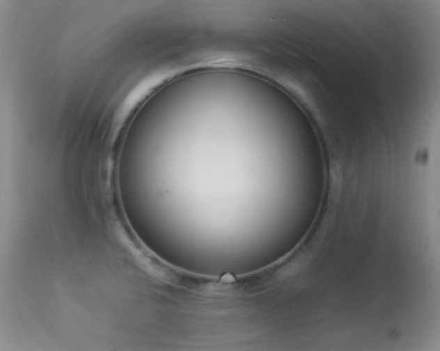 X0000114221424200910091337